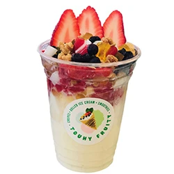 Fruit Yogurt
